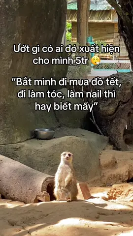 Mong a ny thấy video này…#VinWondersPhuQuoc #Vcreator #SafariPhuQuoc #GrandWorldPhuQuoc #wakeupfestival #s4zpwek  #xh #viral 