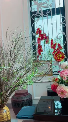 Hoa Tuyết mai quá đẹp 🥰 #hoatuyetmai #tuancanh9x #newyear2025 #trending #xuhuongtiktok 