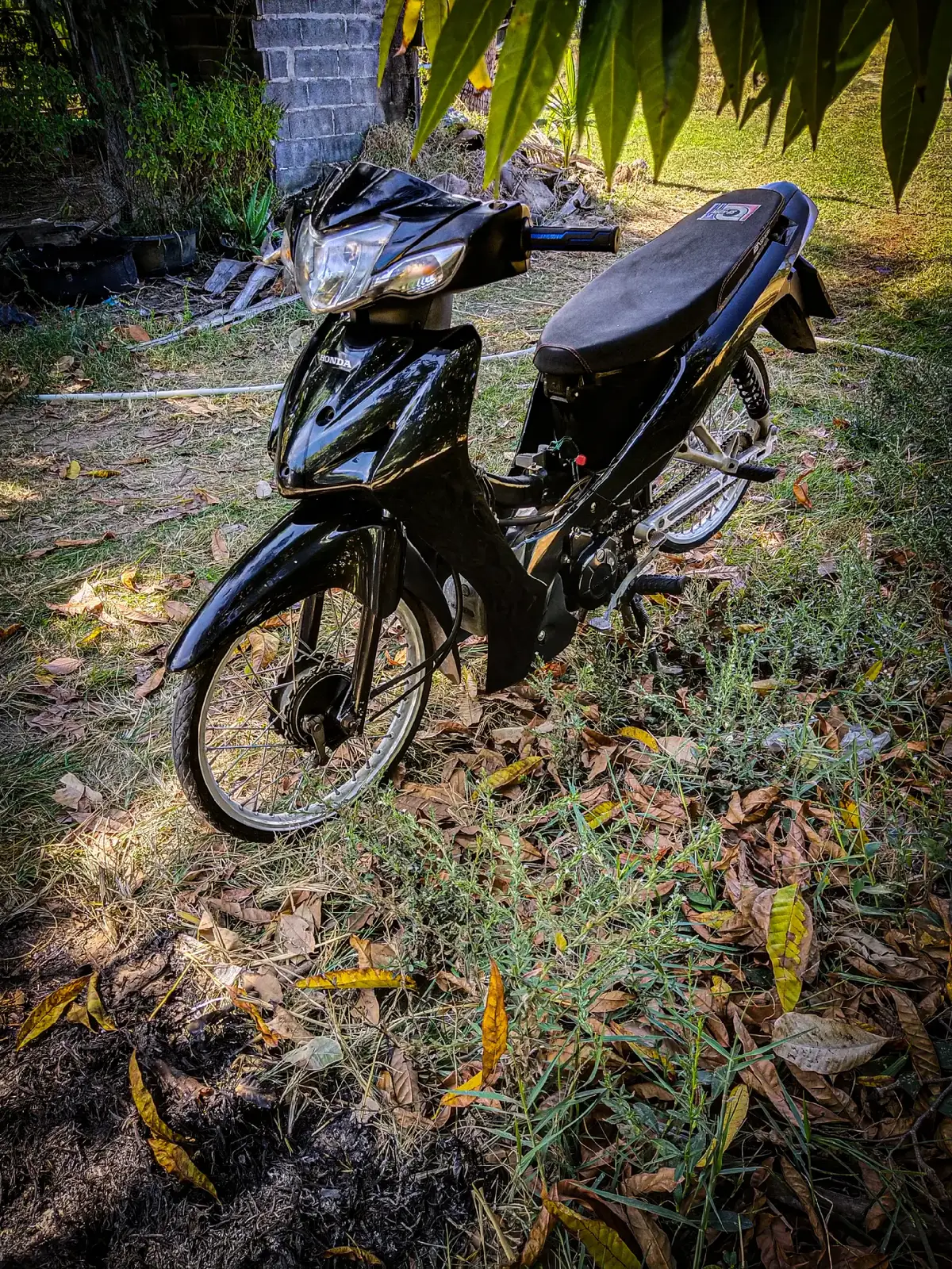 #50มิล #เวฟสวนพริกอีกละหรออ💥💫 #อยากแรงเหมือนเขาบ้าง 