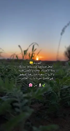 #قران_كريم #صباح_الخير #ماهرالمعيقلي #يارب #صباحكم_سعادهـ🌸🍃 #صباح 