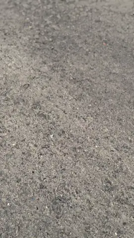 Tokno kata” mu jiee. #primus #w9style #herexjatim #story #sidoarjo24jam 