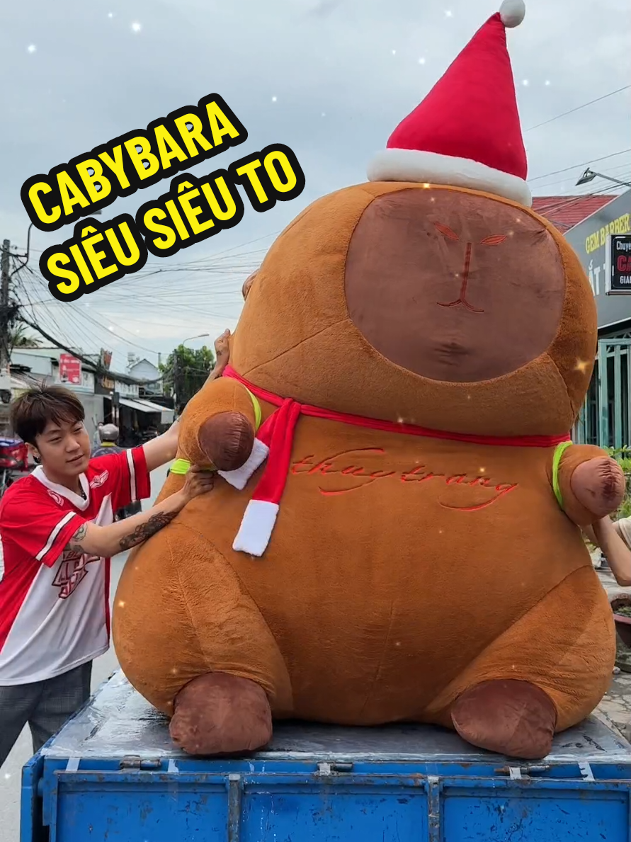 Capybara siêu siêu to 😜  #gaubong #thubong #quatangcantho #gaukhonglo #capybara #xuhuong 