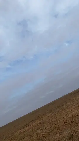 #يا طير مرً. الحفر لا تخلف النية#اللهم_صلي_على_نبينا_محمد 