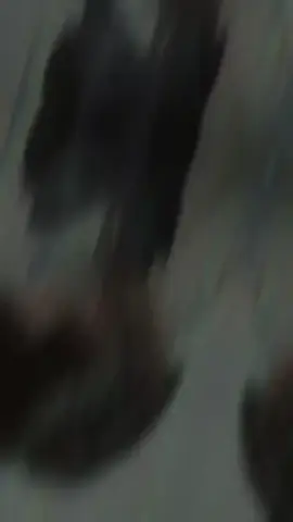 #new#videoupdate#fypシ#viral#like#10klike