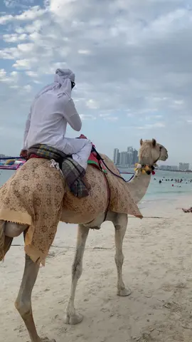 kệ nghèo mà có kỉ niệm 