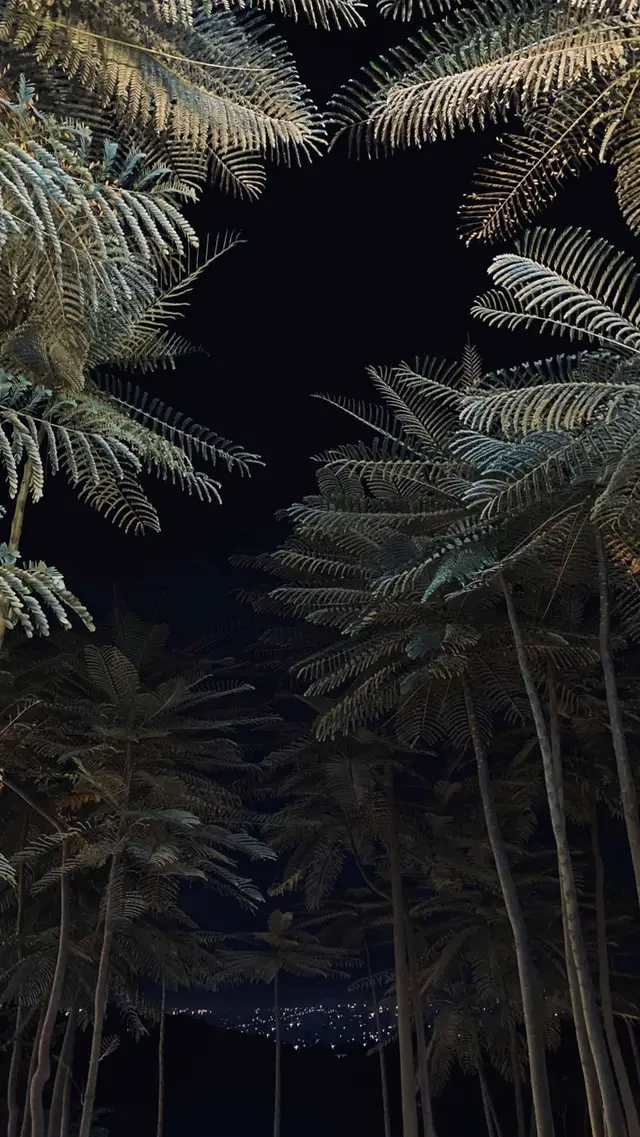 Bagian 838 | #fotorandom #randomfoto #fotoestetik 