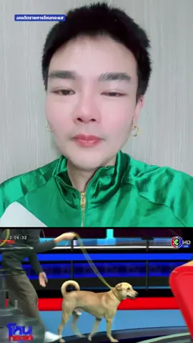 #ข่าวtiktok #หมาหาย #โหนกระแส #หมูกะทะ #lgbtq #lgbt #ดราม่า #รังสิต #หมา 