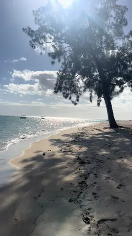 Juste le bruit des vagues pour se faire du bien #pourtoi #mer 