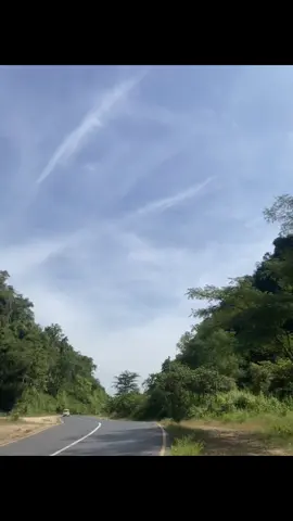 မအားတော့ အလွတ်တွေမတင်ဖြစ်ဘူး😭💞 #NohBuu #fyp #စာတို #livephotos 