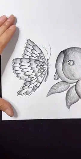 How To Draw a Butterfly 🦋  . . . #howtodraw #artistsoftiktok #drawingideas #drawingprocess #drawingforbeginners #easydrawing #draw 