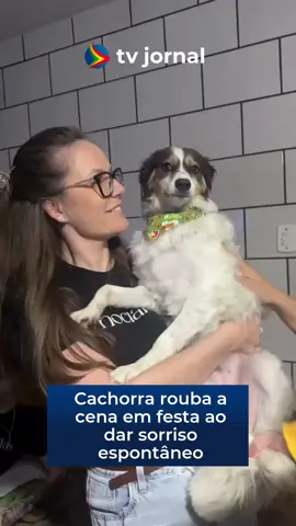 ALERTA FOFURA 🐾 | A cachorrinha Maya resolveu ser a estrela da confraternização, posando lindamente para a câmera com direito a um sorrisão que encantou as pessoas ao redor. Quem aguenta uma coisinha dessa?💙 Vídeo: @patriciadiiogo #em #viral #cachorro