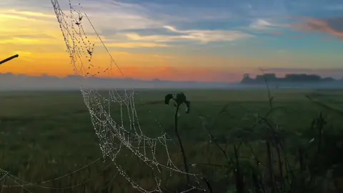 পাখির গান আর সবুজ প্রকৃতির আহ্বান, এভাবেই শুরু হোক আমাদের দিন। ❤️🌳 #সবুজপৃথিবী #পাখি_প্রেমী #tiktok #foryou #fypシ゚viral🖤tiktok #following #sk #শীতেরসকাল #vairal 