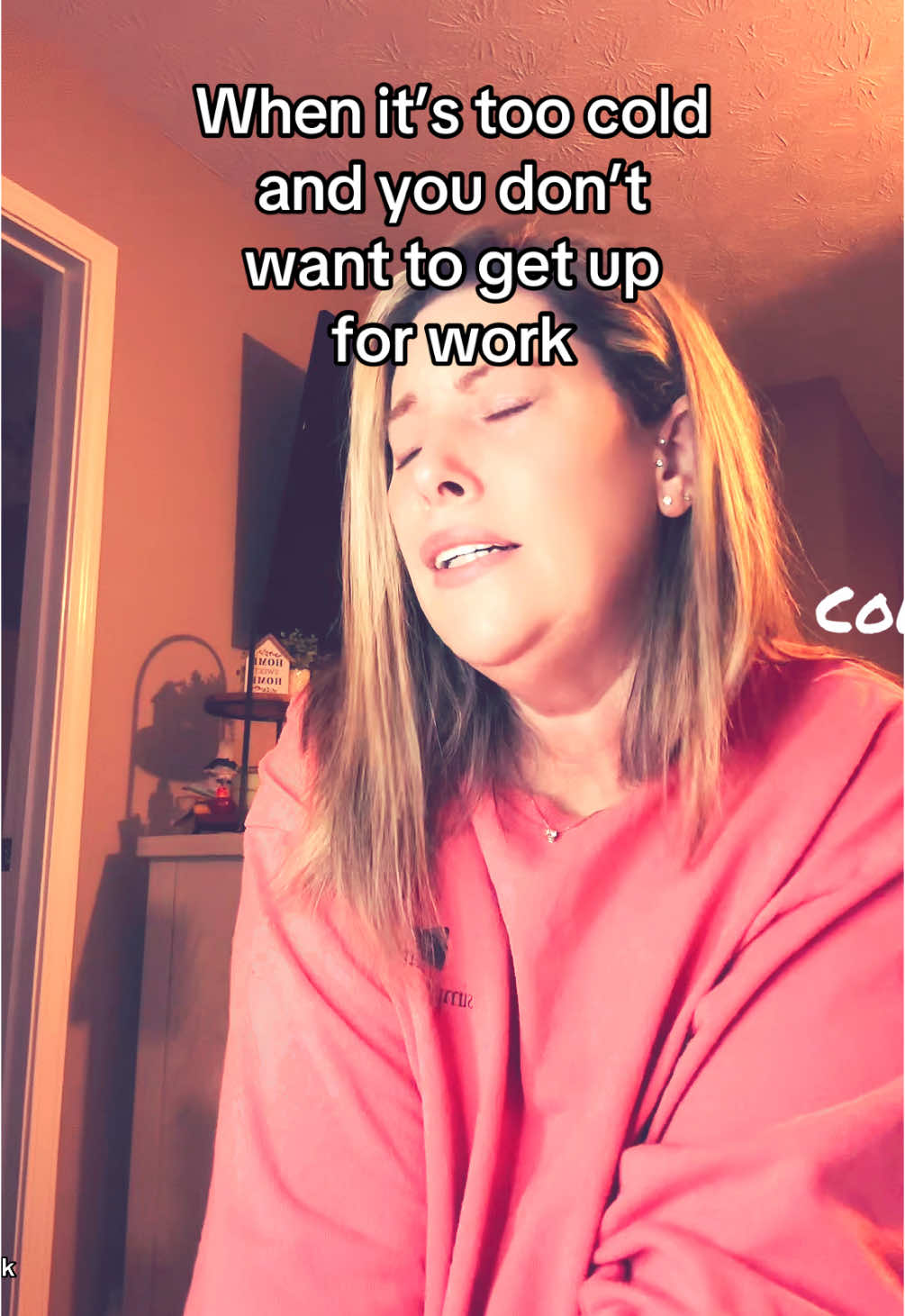 Too cold for work #cold #winter #winterweather #toocold #work #funnyvideo #relateable #laugh #laughter #snow 