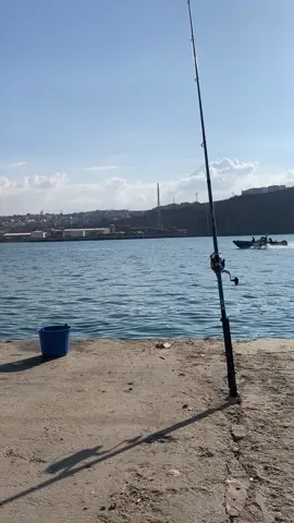 #marin #غزوات_السواحلية_تلمسان #algeria 