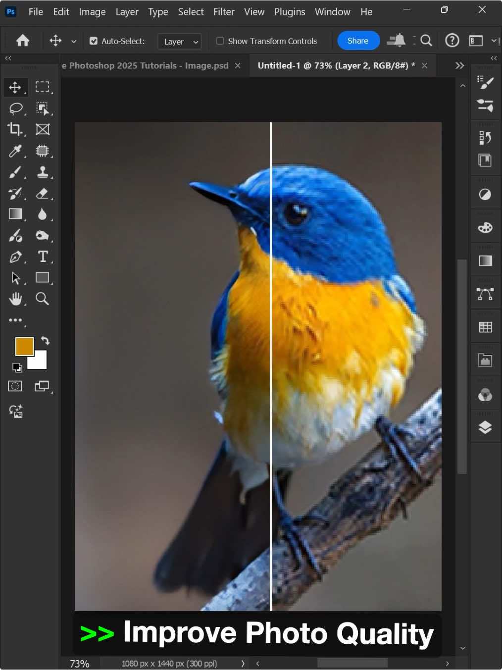 Adobe Photoshop 2025 Tips - How to Improve Photo Quality  #ducthangds #designtools #photoshoptricks #photoshopskills #photoshoptutorial #photoshop #photoshoptips 