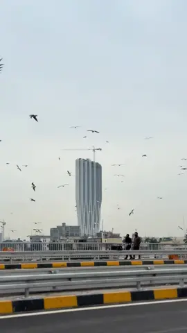 جسر الجادرية الان بغداد  #بغداد #العراق #baghdad #iraq #iraq #fyp #تصويري #تصميمي #امجد_عبد_جاسم #amjadabd #اكسبلورexplore #تكتوك #شوارع_بغداد #اكسبلور #بغدادي #نهر_دجلة 