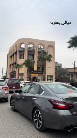 #بعقوبه_شارع_الطابو_بعقوبه_نهر_الحجيه 