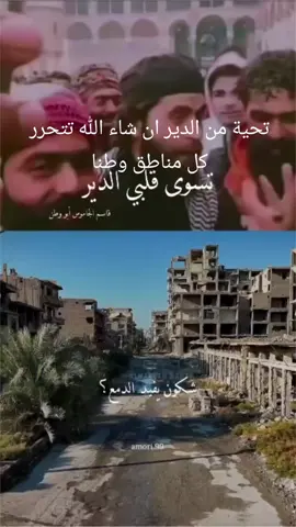 انشودة عن الديرية#tiktok_india #tiktok #yosoycreador #سوريا_تركيا_العراق_السعودية_الكويت #اكيسبلور #creatorsearchinsights #bdtiktokofficial #fürdich #furyou #yourbestshot #you 