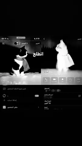 اني بحبك😞🍓@𝑺𝒂𝒎𝒂. #Love #tiktok #capcut #انستا #تيك#صور #تطقيم #S #R 