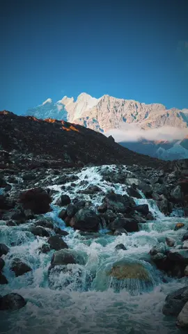#LangtangTrek #KanjiGompa #NepalAdventures #HimalayanTrekking #ExploreLangtang #NepalNature #AdventureAwaits #TrekkingNepal #LangtangValley #NepalDiaries #HimalayanTrails #KanjiGompaTrek #WanderNepal #MountainAdventures #ExploreNepal #TrekTheHimalayas #LangtangViews #NepaleseCulture #HimalayanBliss #LangtangJourney #TrekkingAdventures #DiscoverNepal #KanjiGompaNepal #NepalWanderlust #LangtangTrails #HighAltitudeAdventures #NatureLoversNepal #NepalHikes #SacredTrails #HimalayanWonders #LangtangAdventure #KanjiGompaAdventures #HimalayanOdyssey #NepalTrekkingRoutes #LangtangHimalayas #NepalTrekker #HikingLangtang #KanjiGompaTrails #LangtangExplore #NepalMountainLife #AdventureInNepal #LangtangNationalPark #HimalayanEscape #NepalTrekkingExperience #LangtangWilderness #NepaleseHimalayas #OffTheBeatenPathNepal #LangtangNatureWalk #KanjiGompaJourney #NepalTravelStories #HimalayanAdventuresNepal #NepalTrekkingDream #ExploreTheHimalayas #LangtangPeaks #KanjiGompaExplore #TrekkingParadise #NepalTrekkingDreams #LangtangTales #KanjiGompaDiscoveries #NepalWilderness #TrekNepalTrek #LangtangAdventureTrails #HimalayasCalling #KanjiGompaHike #NepalBackpackers #LangtangTrekkingRoutes #NepalHimalayanTrails #LangtangHiddenGem #KanjiGompaCulture #NepalOffRoad #LangtangVibes #MountainTrekkingNepal #NepalAdventureTrails #ExploreLangtangValley #HikeToKanjiGompa #NepalAdventureTravel #LangtangWildlife #LangtangKanjiGompaTrek #AdventureTravelNepal #NepalTrailBlazers