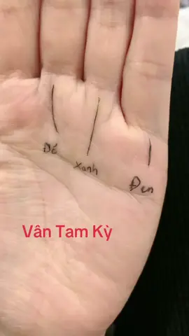 Vân Tam Kỳ #Đường_Chỉ_Tay #nhantuonghoc #nhantuong #chỉtay #nhântướng #tiktoknews #xuhuong #xuhuongtiktok 