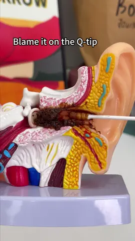 See and remove earwax like never before! #VisualEarScoop #EarCanalCleaning #EarWaxRemoval #EarCare #EarCleaning #EarHealth #tiktokmademebuyit #TikTokShopLastChance #TikTokShopNewYearNewAura #spotlightfinds 