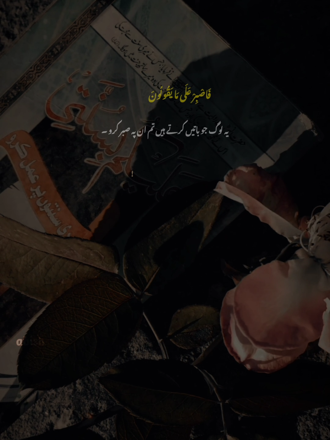 Sbr 🥺🖤#fyp #islamic_qoutes 