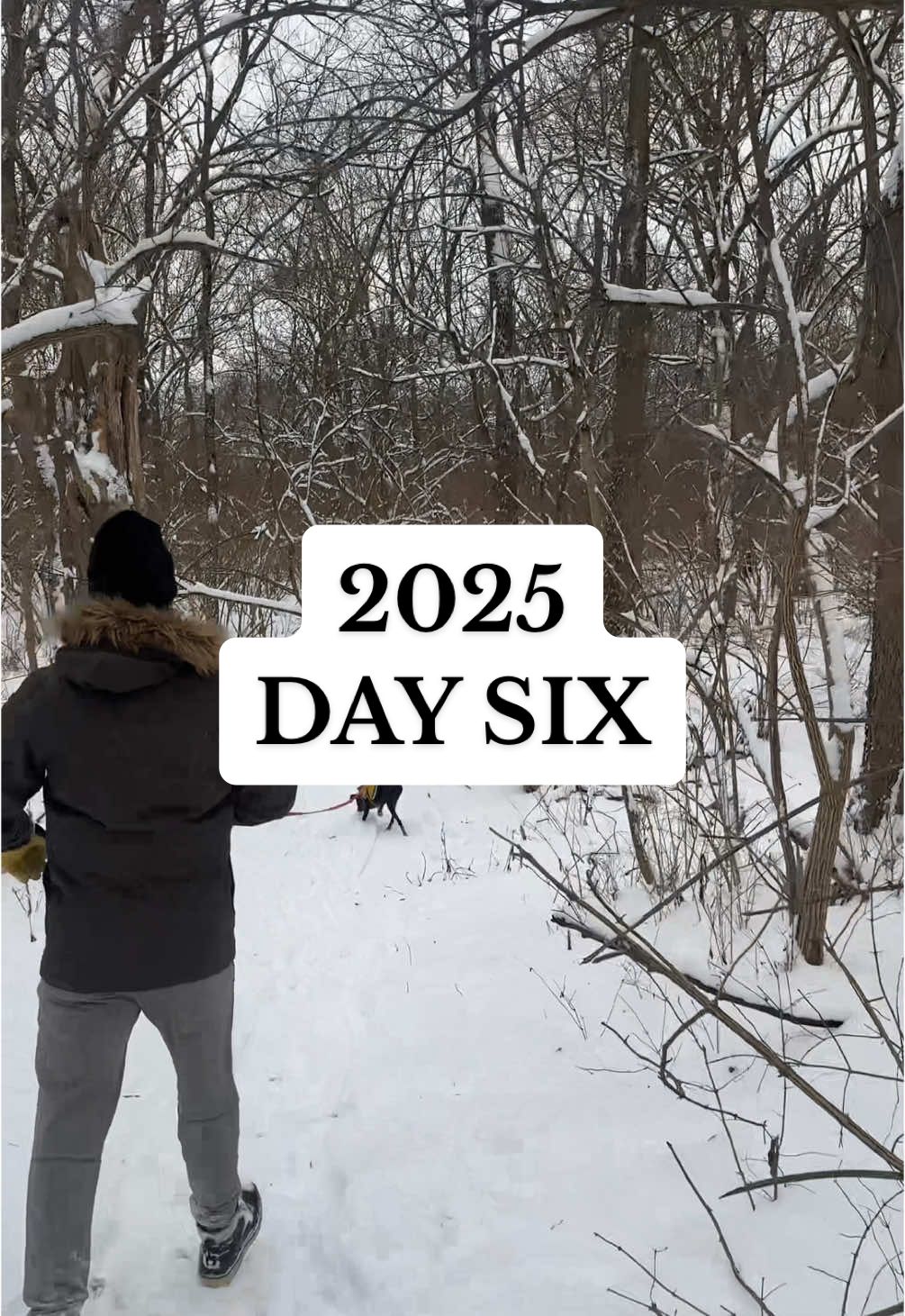 6/365 | a slow snow day ❄️ #Vlog #vlogs #morningvlog #morningroutine  #timestamps #normalgirl #dayinmylife #dayinthelife  #OOTD #outfit #shopping #affordable #affordablefashion #shopping #travel #traveltiktok  #CapCut 