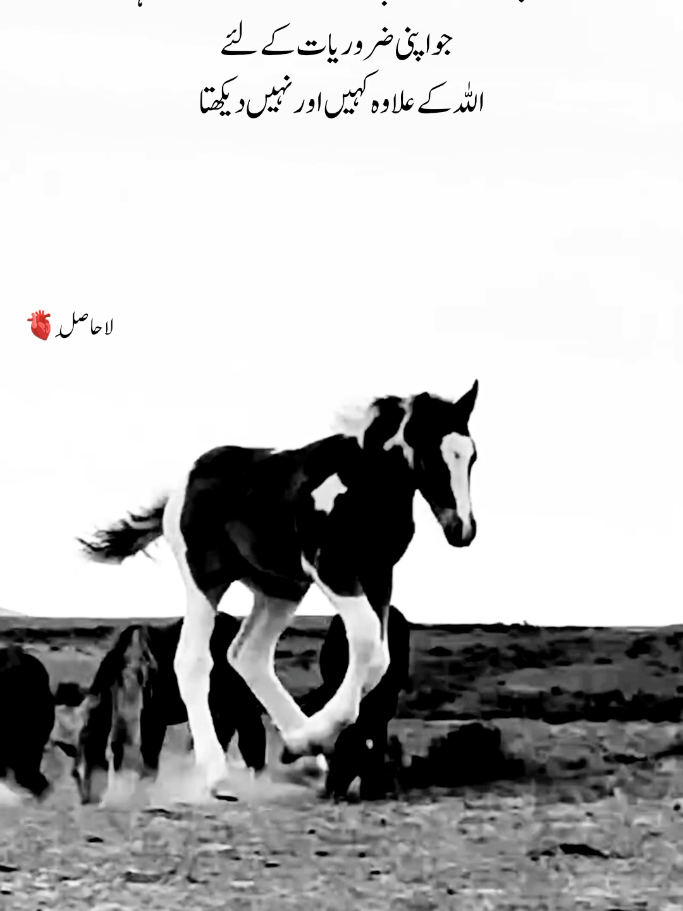 Aur Nahi Dekhta💯👍. #new #trending #lines #foryou #tiktok #foryoupage #poetry #welcomeback #lahasil704 