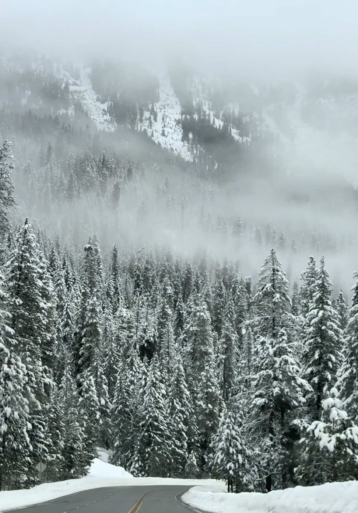 Дорога в Leavenworth🤍 #winter #snow #mountains #leavenworth #washingtonstate #snowy #mountain #mountainsroad #nationalpark #northcascades #wintervibes 