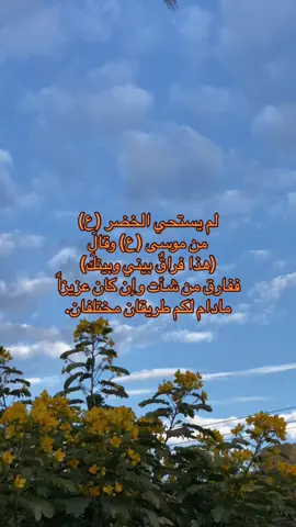 تگدرون لو العاطفة تمنعكم ؟. @مُحَمَّد. 