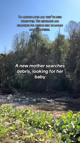 My most viral video of 2024  #WNC #Hurricane #HurricaneHelene #Awareness #NorthCarolina #Mountains #Tragedy #Flood 