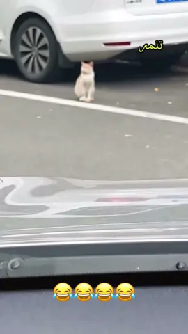 #foryoupage #foryou #fyp #viral #viralvideo #tiktok #satisfyingvideo #asmri  #TikTok - #TikTokCommunity@︻╦デ╤━╼💥••♥️(✧Д✧)→king!  - #TikTokFam - #TikTokDance - #TikTokComedy - #tiktokmusic * - #TikTokArt - #TikTokCreativity #TikTokDesign * - #TikTokFashion - #TikTokBeauty - #tiktoktravel * - #TikTokGaming - #TikTokGamers - #TikTokEsports * - #TikTokLearn - #TikTokEducation - #TikTokKnowledge - #SprayPainting - #StreetArt - #GraffitiArt - #UrbanArt - #MuralArt - #SprayPaintArt - #ArtWithSprayPaint - #SprayCanArt -   - #StreetArt - #GraffitiArt- #UrbanArt- #MuralArt - #SprayPaintArt - #ArtWithSprayPaint   - #UK- #British， #UKLife, #British - #Germany - #German, #Germany #German - #Italy - #Italian, #ItalyLife, #Itali - #Spain - #Spanish, #SpainLife, #Spani - #USA -#USALife, #American - #Canada - #Canadian, #Canada - #Mexico - - #Brazil - #Brazilian, #BrazilLife, #BrazilianCulture - #Argentina - #Argentine, #ArgentinaLife, #ArgentineCulture - #Chile - #Chilean, #ChileLife, #C - #SouthAfrica - #SouthAfrican, #SouthAfricaLife, #SouthAfricanCulture - #Nigeria - - #Egypt - - #Australia - #Australian, #AustraliaLife, #AustralianCulture - #Newzealand - #Newzealand, #NewzealandLife, #NewzealandCulture- #ASMR - #Relaxation - #CalmingSounds - #Whispering - #Tapping #PersonalAttention - #RolePlay - #Triggers - #SleepAid views #PageTurning- #PenTapping- #HairBrushi #Crinklin-- #FYP-#ForYouPage-#Viral - #Trending - #Challenge - #Dance - #LipSync - #Comedy - #Entertainment - #Funny - #ViralDance - #TikTokFamous.   #Going Viral - #TrendingNow - #ViralChallenge - #InstantRegret - #SatisfyingVideos - #LifeHacks - - #ASMR #AutonomousSensoryMeridianResponse - #Relaxation - #CalmingSounds - #Whispering - #Tapping - #Triggers - #SleepAid - #TappingSounds #CrinklingSounds - #WhisperingSounds - #PageTurning - #PenTapping - #HairBrushing - #NailTapping - #HandMovements - #FingerTapping - #LipMovements - #EyeContact #smiles #FacialExpressions - #MakeupApplication - #PersonalShopping - #SpaDay - #Triggers - #SoundTriggers - #VisualTriggers - #TactileTrigger - #PersonalAttentionTriggers * - #Relaxing - #Calming - #Soothing - #Sleepy - #Chill - #ASMRCommunity - #ASMRFamily - #ASMRSupport - #ASMRLove - #ASMRFriends -#smiles1113 