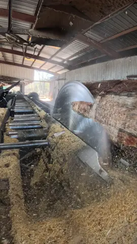 “Cutting through a massive 3 x 12 x 20-foot pine lumber using a 66-inch solid tooth saw with a 1/4-inch kerf. Watch as we slice through this huge piece of wood with precision and power. #LumberCutting #Woodworking #PineLumber #Sawing #WoodworkingTools #Craftsmanship #PrecisionCutting #Timber #Sawblade #Carpentry”