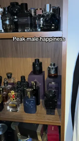 Im so happy 😁  #collection #perfume #addiction #fragrancetiktok #fragrancearmy #fragrancetok #fypシ #fyp #fragrancecollection #ogf #colognelanguage #fragranceaddict #cologne #perfumetiktok #ogfragrances 