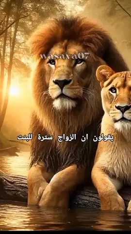 يقولون ان الزواج سترة للبنت #وصايا #مواعظ #كلام_من_ذهب #تحفيز #خواطر #إقتباسات #تطوير_الذات #حكم #نصائح #علم_النفس #نصائح #ستوريات  #نصيحة #إكسبلورر #تيك_توك #motivation #viral_video #VoiceEffects #explore