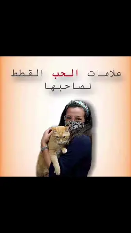 #الرفق_بالحيوان #الرحمة_بالحيوان #موحبي القطط#agadir #المغرب🇲🇦 #tiktoknews 