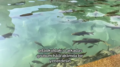 cok ozledim #kesfetteyiz #kesfet #fyp #21savage #viralvideo 