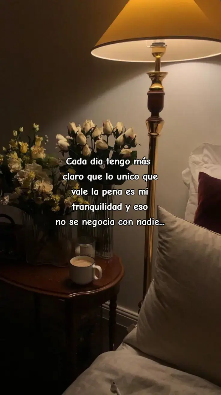 Tranquilidad y Paz✌️❤️#frasesmotivadoras #ftypシ #foryou #viral 