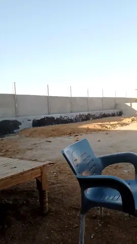 #shabraticattleanddairyfarm#karachi #farmer #gadapfarmersassociation #cowmandi2025 