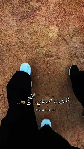...................🐆#explorer #tiktok #fyp #هاشتاق #تصويري📸 #شاشه_سوداء #عبارات 