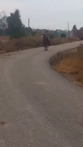 كحيله ربده ✌️🪐🏁