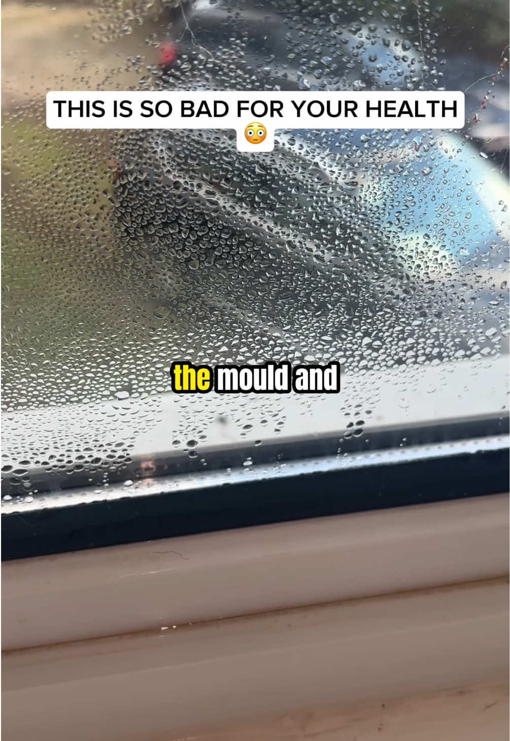 This NEEDS to be treated #tiktokmademebuyit #spotlight #mould 