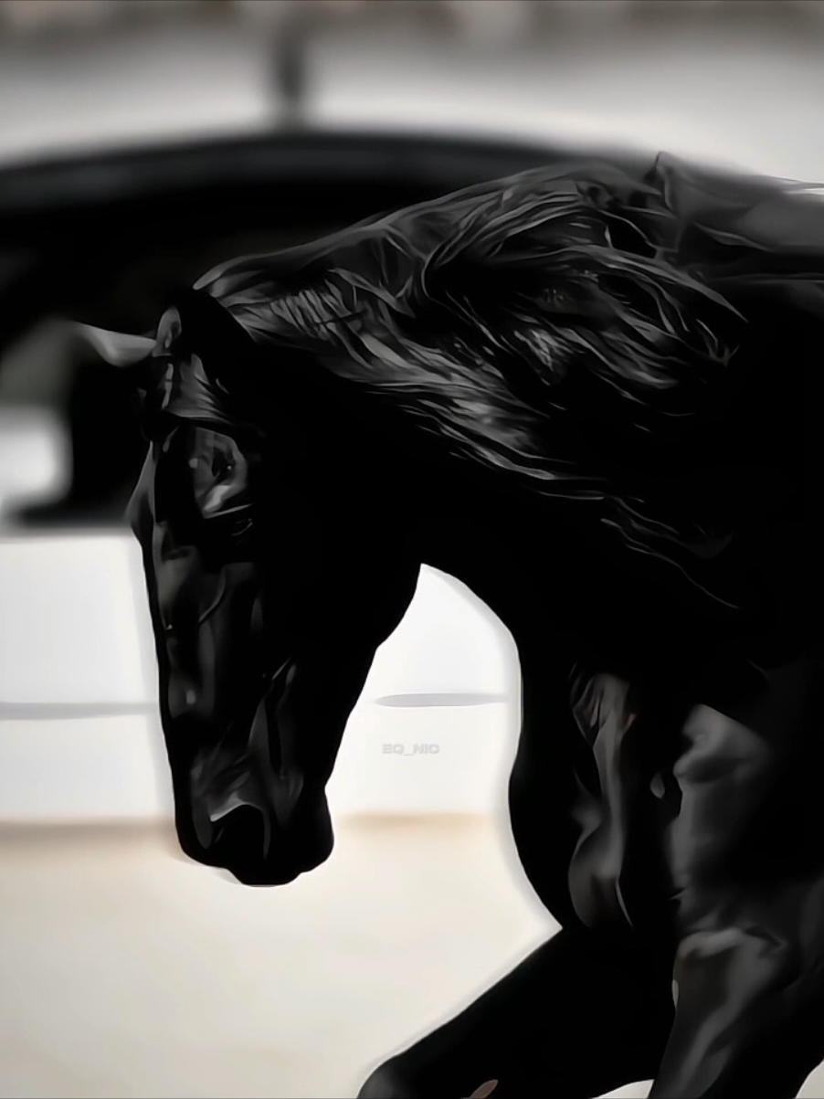 Black Lusitano 🔥 Instagram:@lasmorerias  #horseedit #lusitano #horsesoftiktoktok #blackhorse #equestrian #capcut_edit #fypviral #foryou #edit 