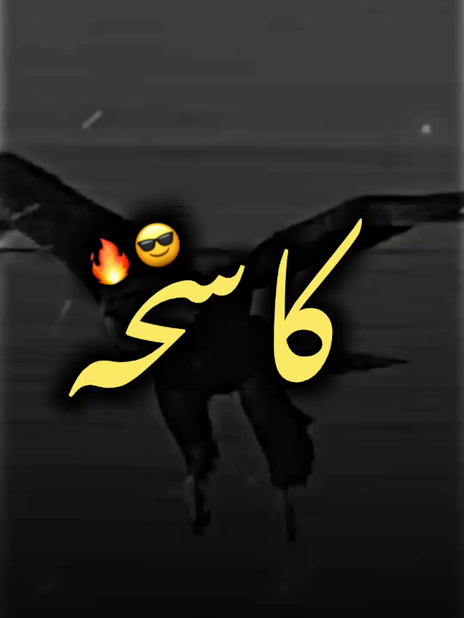 طلعت🔥🖤#تصميم_فيديوهات🎶🎤🎬 #علي_بن_فايد #ali_zlitney 