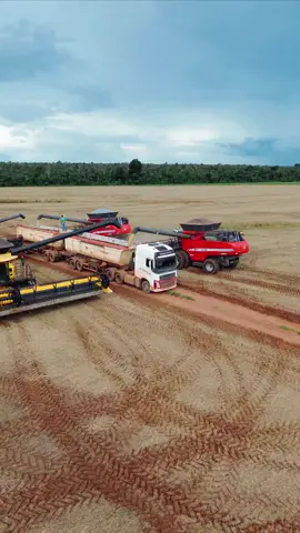 #agricultura #agronomia #agricultor #masseyferguson #agro10brasil #agro #agroboy #agroetop #agrobrasil 