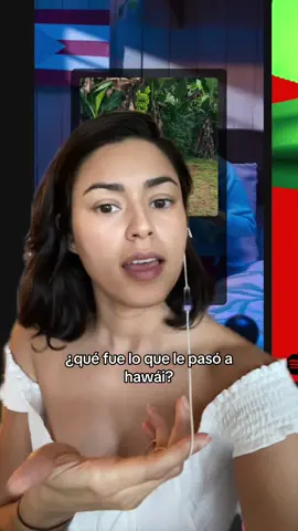 ¿Les gustó esta canción del album nuevo de Bad Bunny?