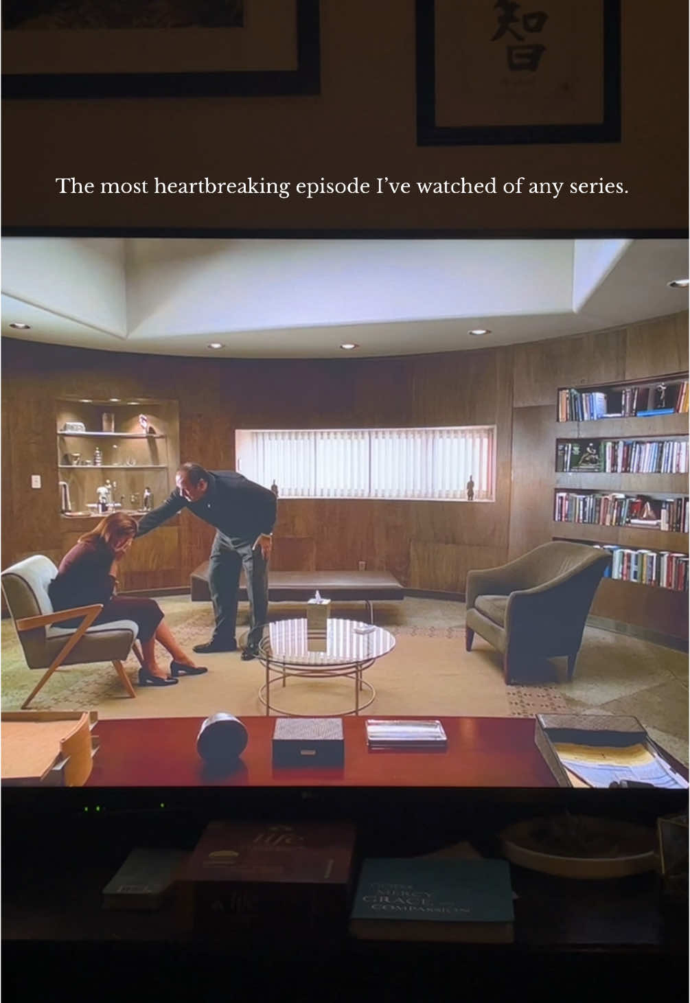 #fypage #sopranos #thesopranos #tonysoprano #drmelfi #newjersey #nj #hboxmax 