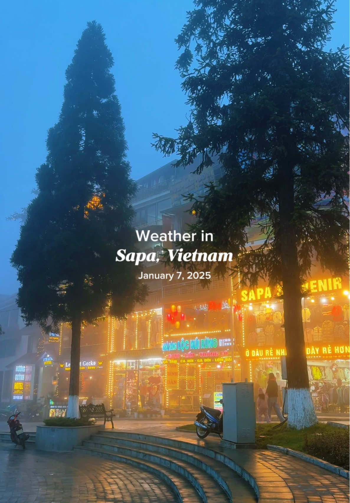 It's foggy in Sapa today! Perfect for cozy moments and enjoying the beautiful scenery. Stay warm! ☕️🏞️ #SapaWeather #FoggyDays #sapavietnam #vietnam #laocai #travelvietnam 