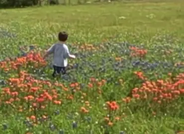 sometimes i want to go back #childhood #nostalgia #2000s 